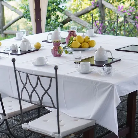 Amore Rentals - Villa Masha Villa *