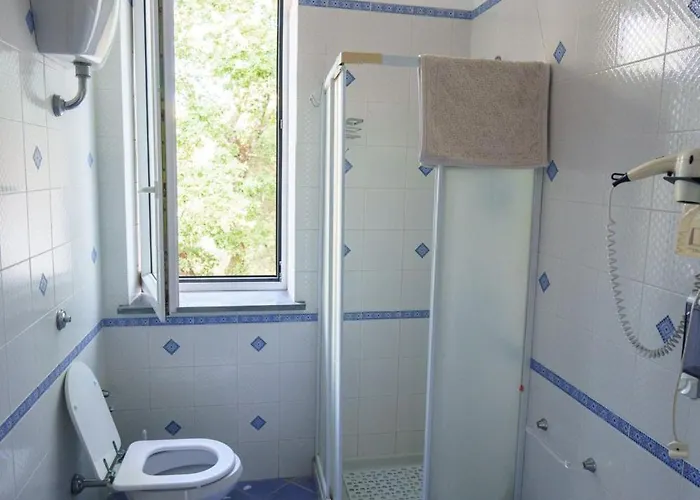 - Masha Σορέντο